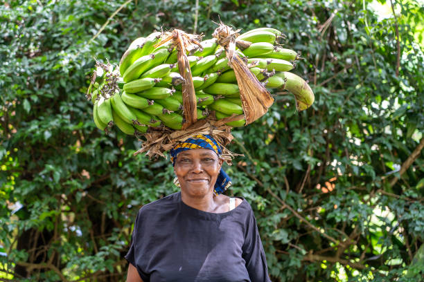 Woman carrying a bundle of bananas on her head in Arusha, Tanzania.