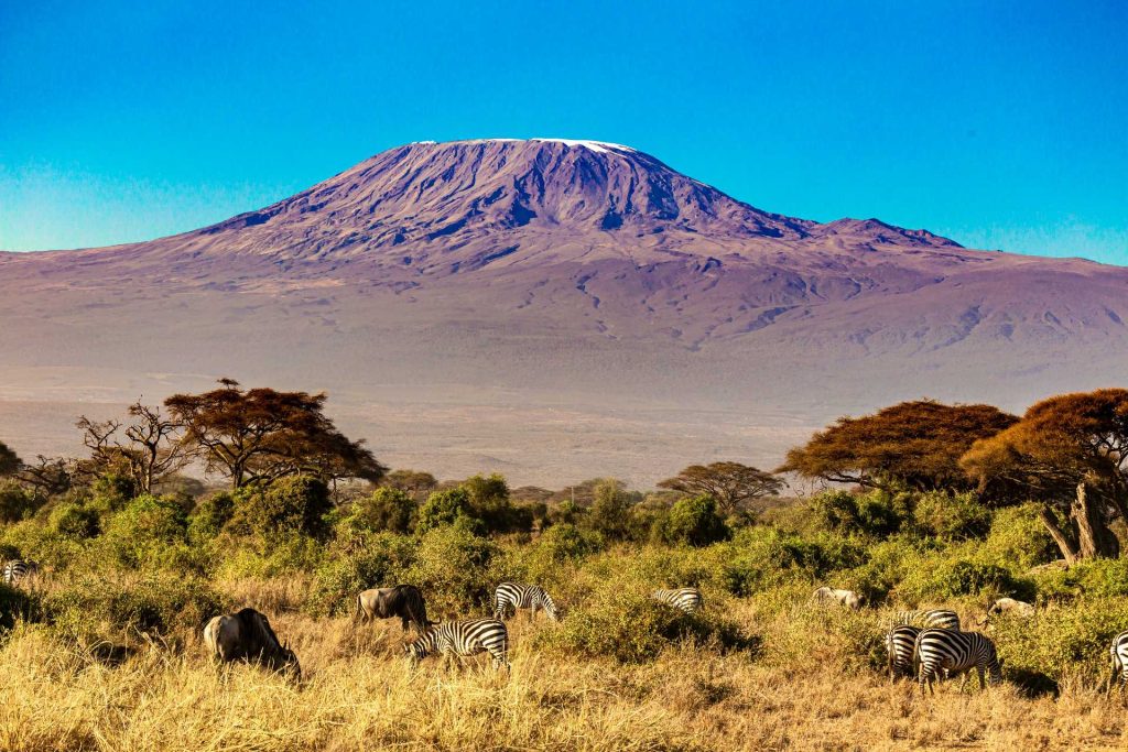 Mount Kilimanjaro towering above the clouds, the highest peak in Africa.