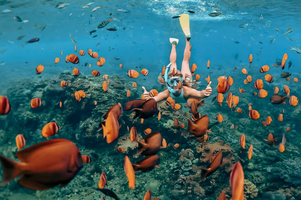 Couple snorkeling during Safari Blue tour in Zanzibar